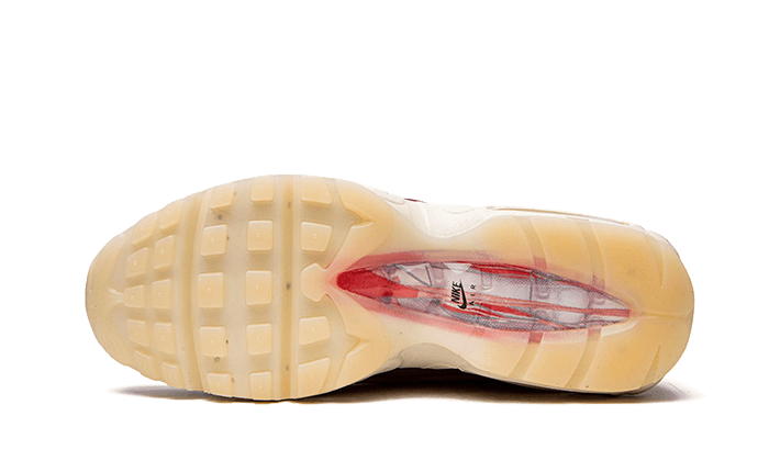 Nike Air Max 95 Anatomy of Air - DM0012-600