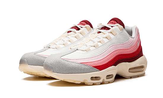 Nike Air Max 95 Anatomy of Air - DM0012-600