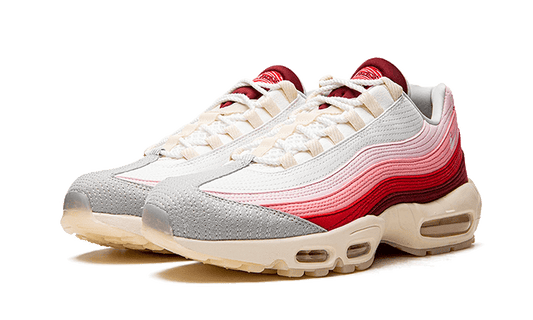 Nike Air Max 95 Anatomy of Air - DM0012-600