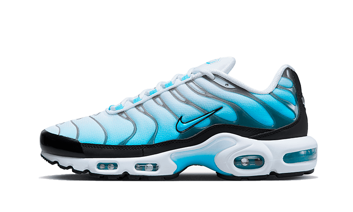 Nike Air Max Plus Baltic Blue - FD9751-100