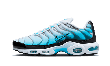 Nike Air Max Plus Baltic Blue - FD9751-100