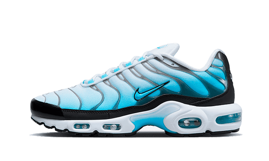 Nike Air Max Plus Baltic Blue - FD9751-100