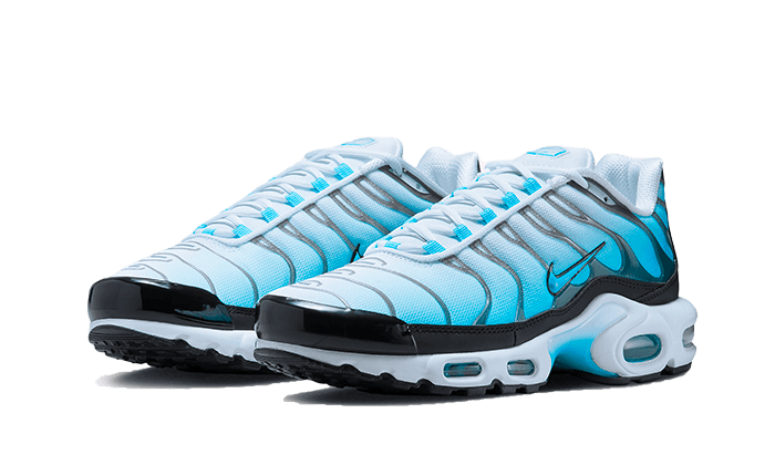 Nike Air Max Plus Baltic Blue - FD9751-100