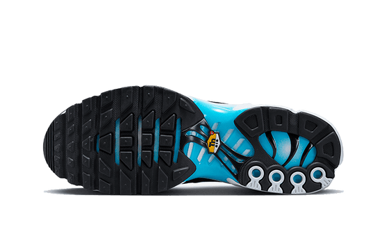 Nike Air Max Plus Baltic Blue - FD9751-100