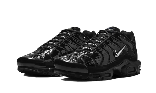 Nike Air Max Plus Black Volt Silver - FJ2591-001