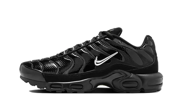 Nike Air Max Plus Black Volt Silver - FJ2591-001