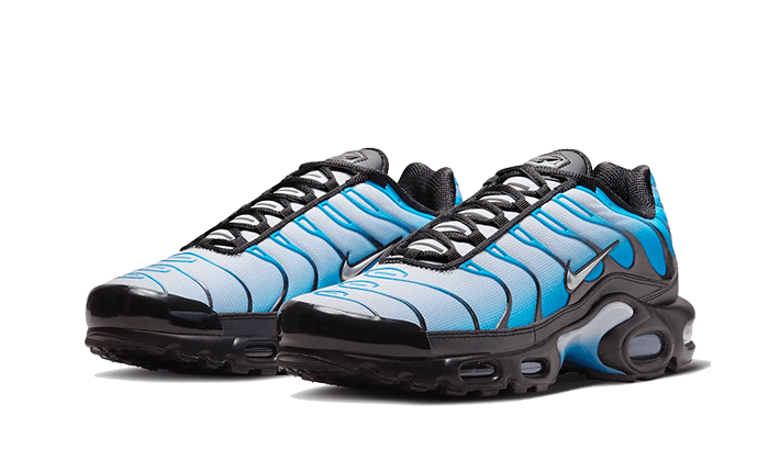 Nike Air Max Plus Blue Gradient - FQ0204-010