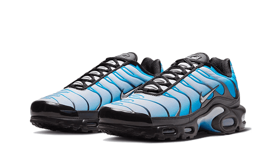 Nike Air Max Plus Blue Gradient - FQ0204-010