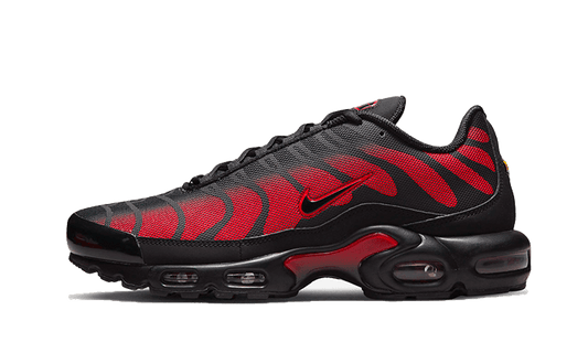 Nike Air Max Plus Bred Reflective - DZ4507-600