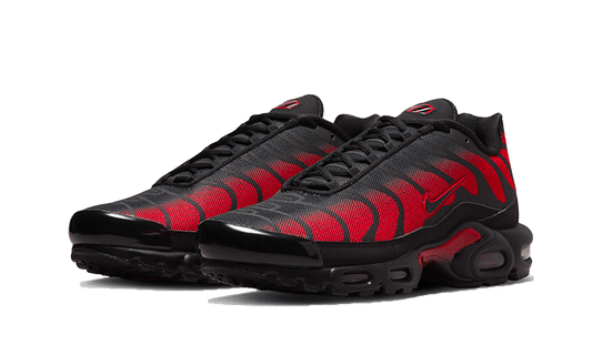 Nike Air Max Plus Bred Reflective - DZ4507-600