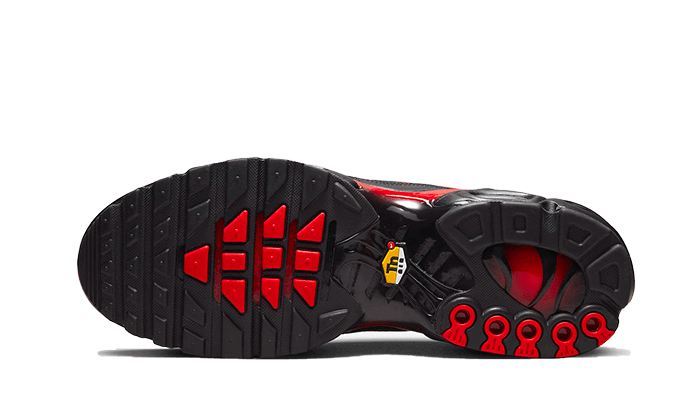 Nike Air Max Plus Bred Reflective - DZ4507-600