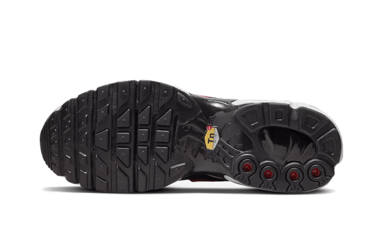 Nike Air Max Plus Dusk - DZ3670-500