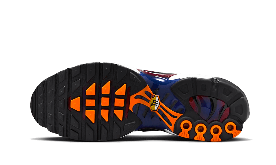 Nike Air Max Plus Patta FC Barcelona - FN8260-001