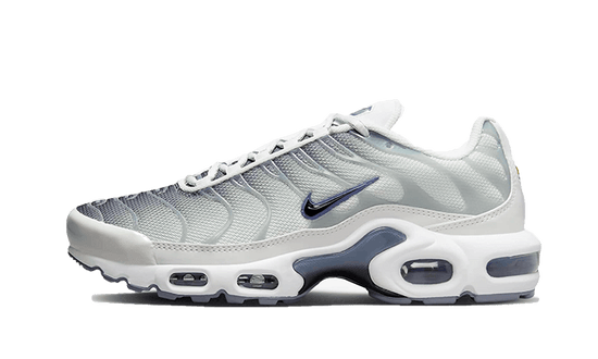 Nike Air Max Plus Sail Grey - FQ2892-100