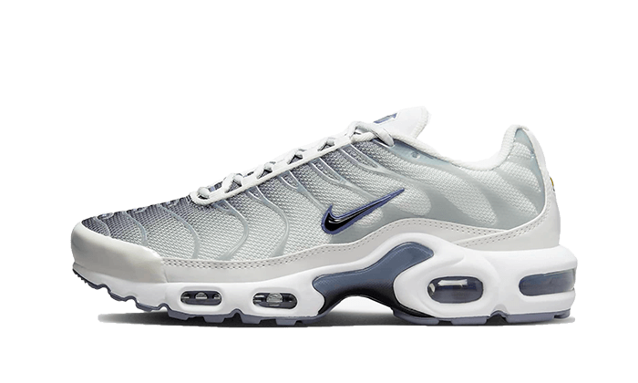 Nike Air Max Plus Sail Grey - FQ2892-100