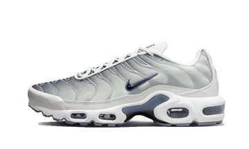 Nike Air Max Plus Sail Grey - FQ2892-100