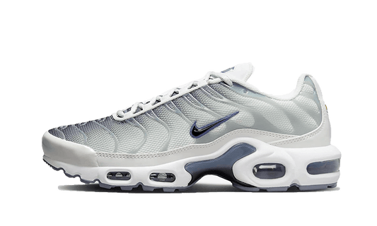 Nike Air Max Plus Sail Grey - FQ2892-100