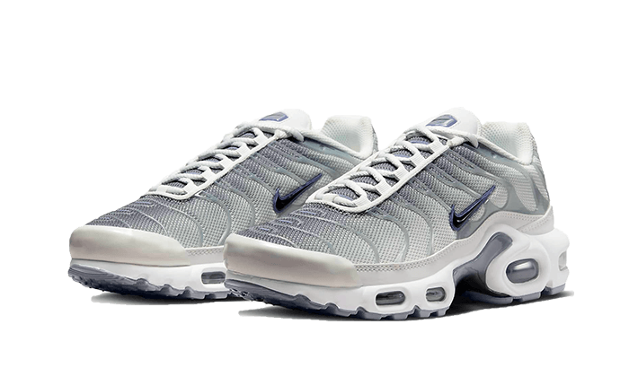 Nike Air Max Plus Sail Grey - FQ2892-100