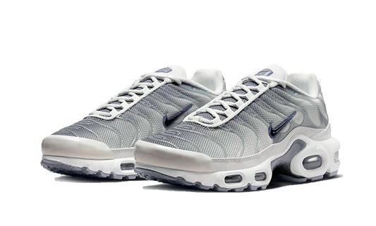 Nike Air Max Plus Sail Grey - FQ2892-100