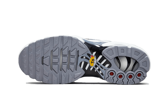 Nike Air Max Plus Sail Grey - FQ2892-100