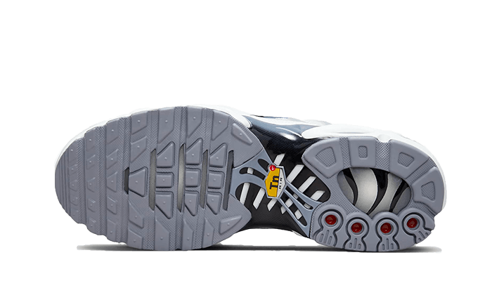 Nike Air Max Plus Sail Grey - FQ2892-100