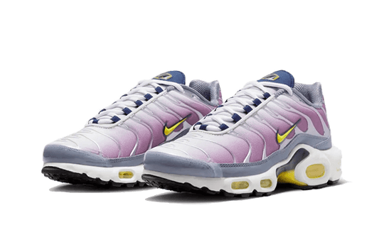 Nike Air Max Plus Violet Dust - FN8007-500