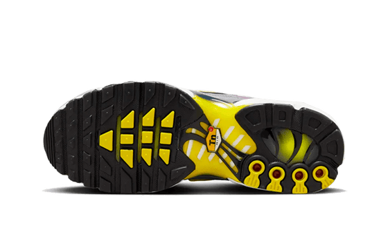 Nike Air Max Plus Violet Dust - FN8007-500