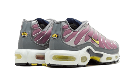 Nike Air Max Plus Violet Dust - FN8007-500