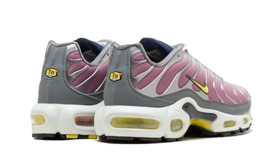 Nike Air Max Plus Violet Dust - FN8007-500