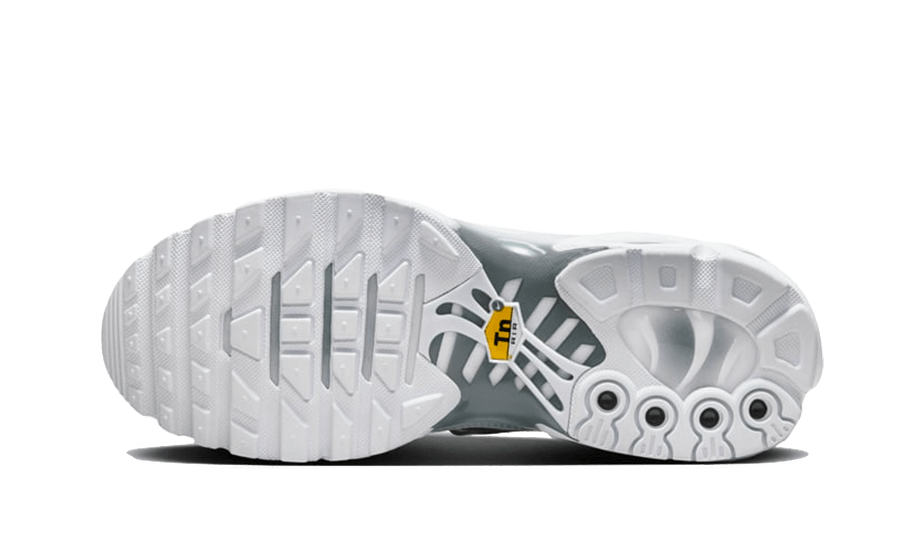 Nike Air Max Plus White Metallic Silver - FV0952-100