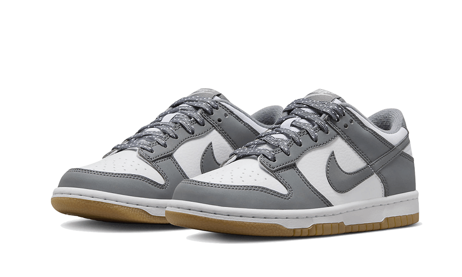 Nike Dunk Low Reflective Grey - FV0374-100