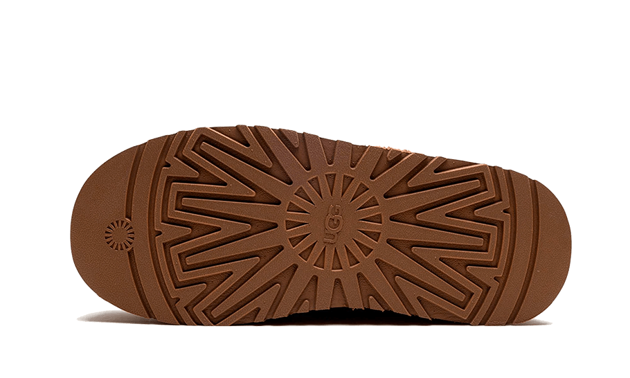 UGG Tazz Braid Hardwood - 1143976-HAR