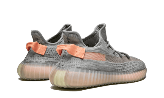 Adidas Yeezy Boost 350 V2 True Form - EG7492