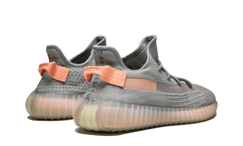 Adidas Yeezy Boost 350 V2 True Form - EG7492