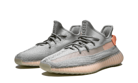 Adidas Yeezy Boost 350 V2 True Form - EG7492