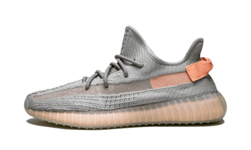 Adidas Yeezy Boost 350 V2 True Form - EG7492