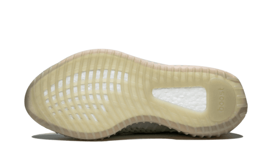 Adidas Yeezy Boost 350 V2 True Form - EG7492